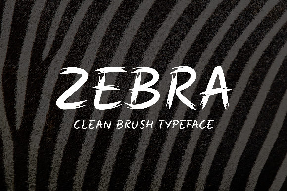 How the Zebra Font Gave My Small Business a Fresh Start