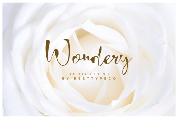 Wondery: A Handcrafted Script Font That Elevates Editorial Design